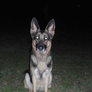 Meet your Posher, Kadie